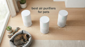 best air purifiers for pets