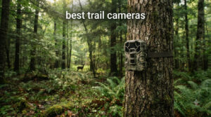 best trail cameras