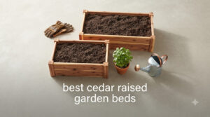 best cedar raised garden beds