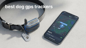 best dog gps trackers
