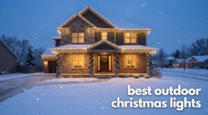 best outdoor christmas lights