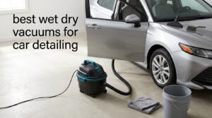 best wet dry vacuums for car detailing