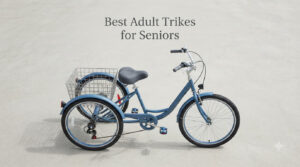 Best Adult Trikes for Seniors