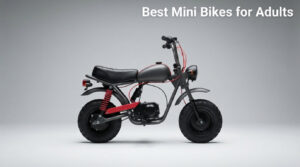 Best Mini Bikes for Adults