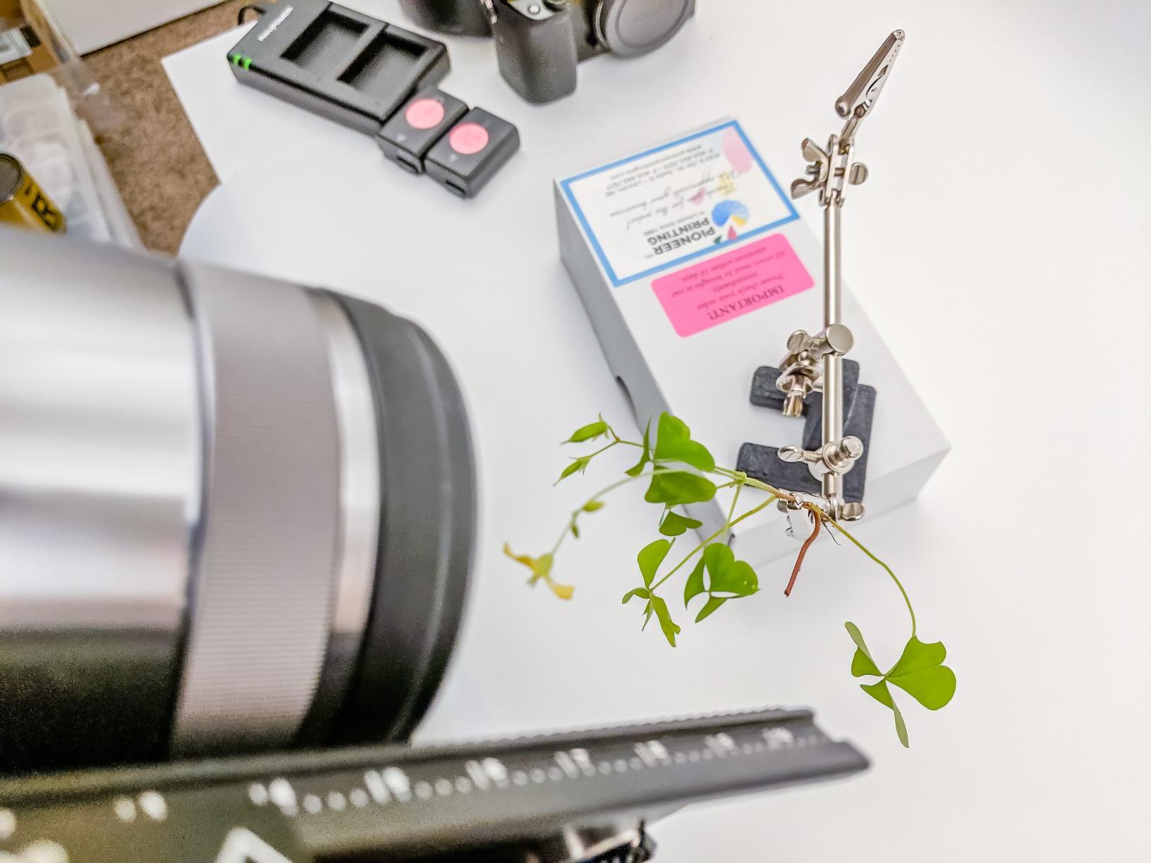 SE 4X Magnifying Glass with Helping Hand - 2-1/2 Inch Lens, 360 Degrees Rotatable Clips for Soldering, Jewelry Making, and Detailed Work -MZ101B customer photo 1