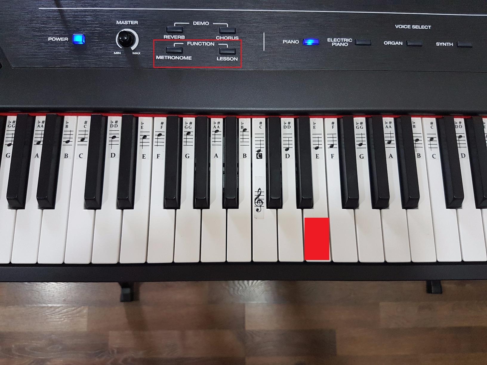 Alesis Recital Digital Piano 88-Key Semi-Weighted customer photo 2