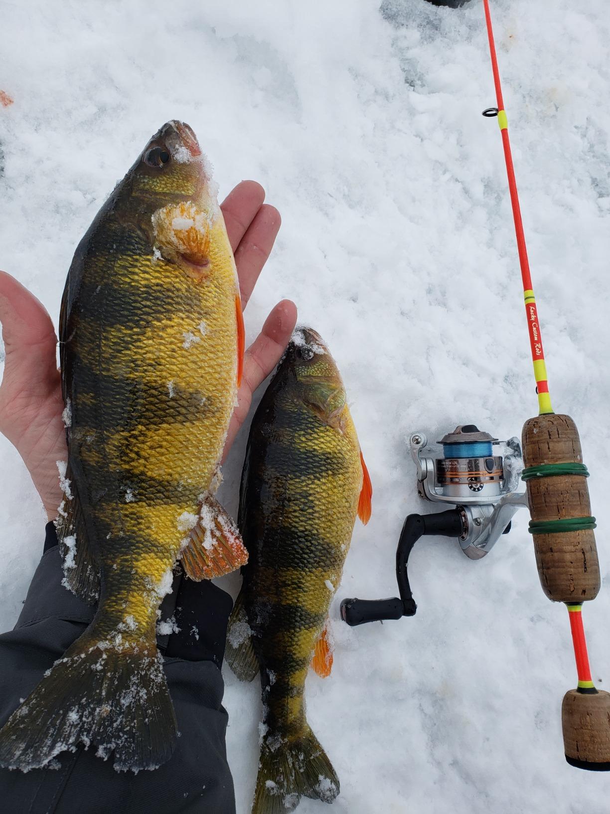 Pflueger MONICEB Monarch Ice Spinning Reel customer photo 1
