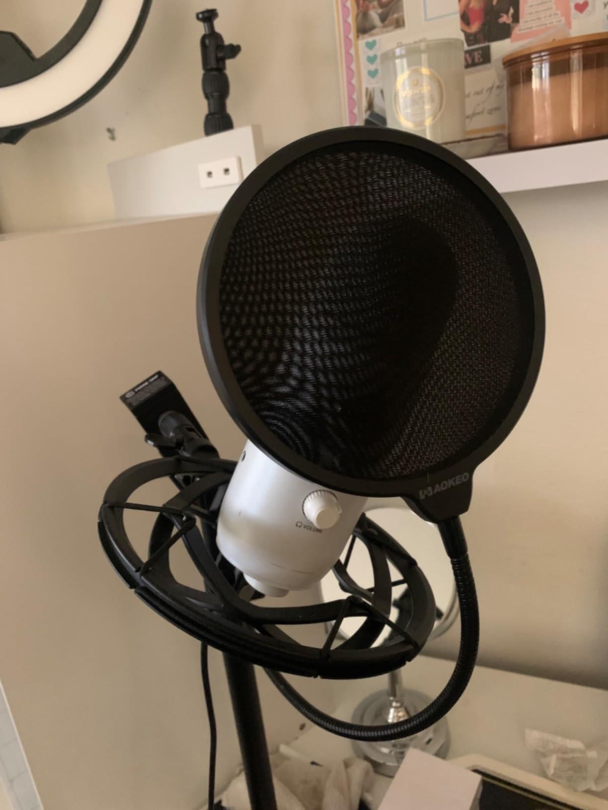 Aokeo Professional Microphone Pop Filter Mask Shield For Blue Yeti and Any Other Microphone,Mic Dual Layered Wind Pop Screen With Flexible 360° Gooseneck Clip Stabilizing Arm customer photo 1