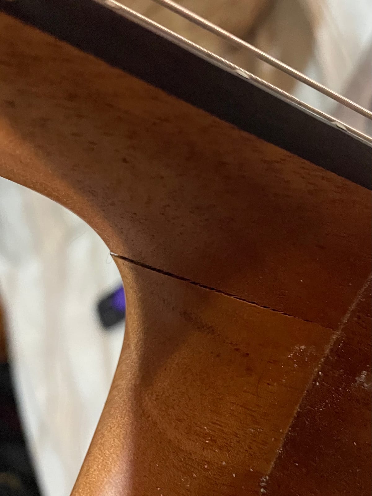 Cordoba C1M 1/2 Nylon Str Acoustic Guitar Natural customer photo 2