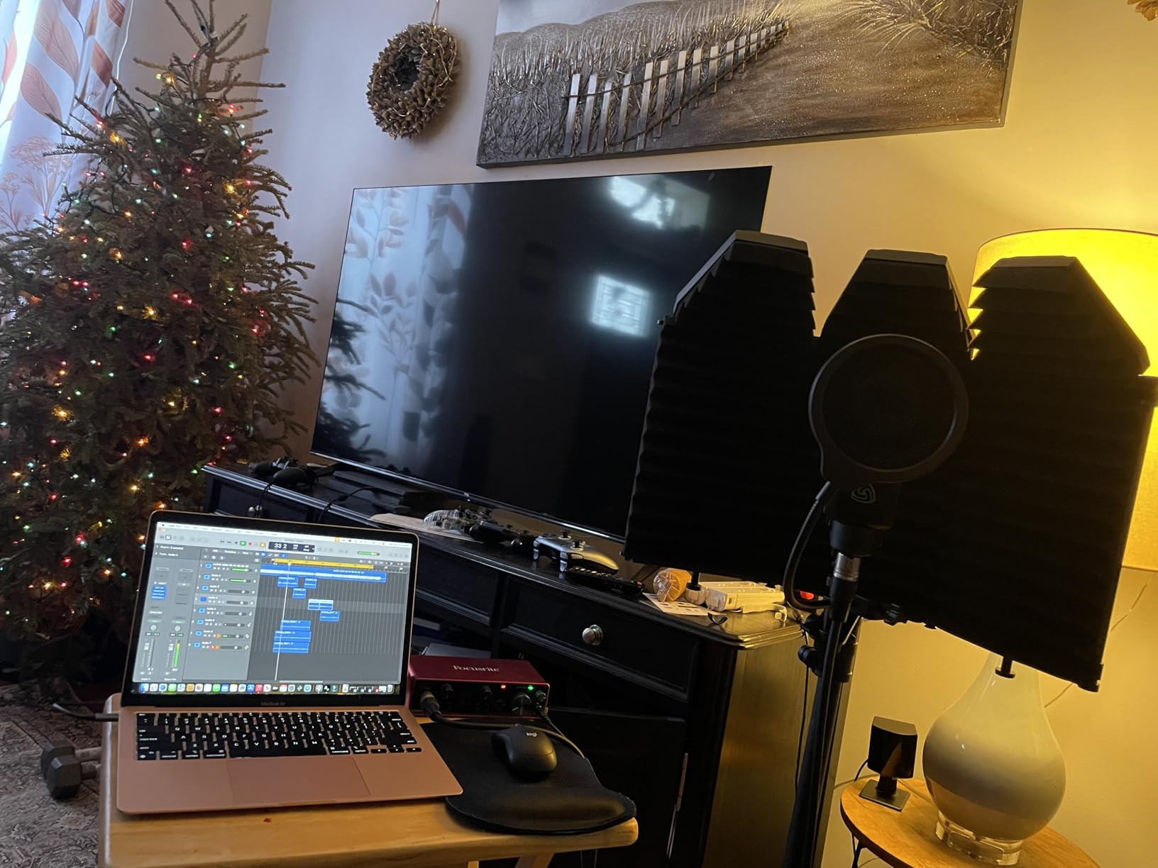 LEWITT LCT 240 Pro Large Diaphragm Condenser Mic customer photo 2