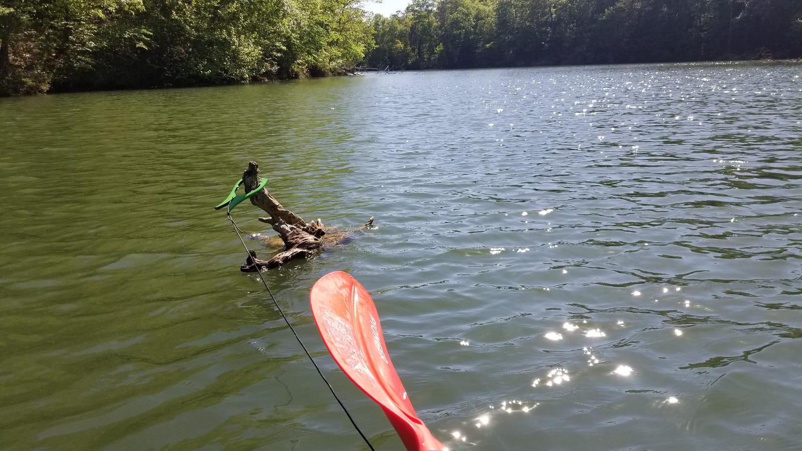 The Original Brush Gripper Made in the USA. Securely Anchor Your Kayak, Canoe or Boats up to 22 feet in Seconds. The Harder You Pull The Tighter It Grips customer photo 2