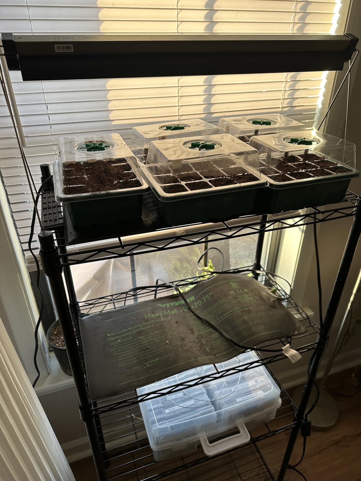 MIXC 10 Pack Seed Starter Tray, 120Cell Stater Kit with Humidity Dome Green customer photo 2