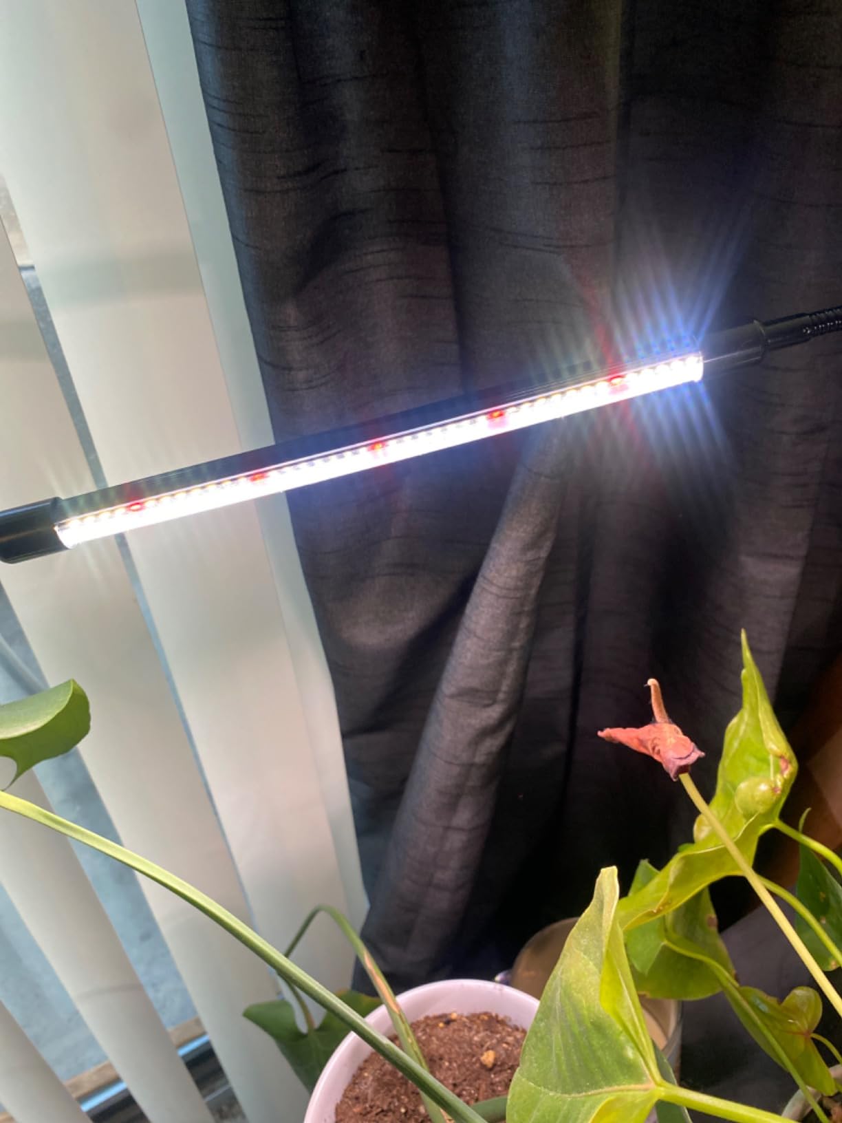 GHodec Grow Light,Full Spectrum White 84 LED Clip Plant Light customer photo 2