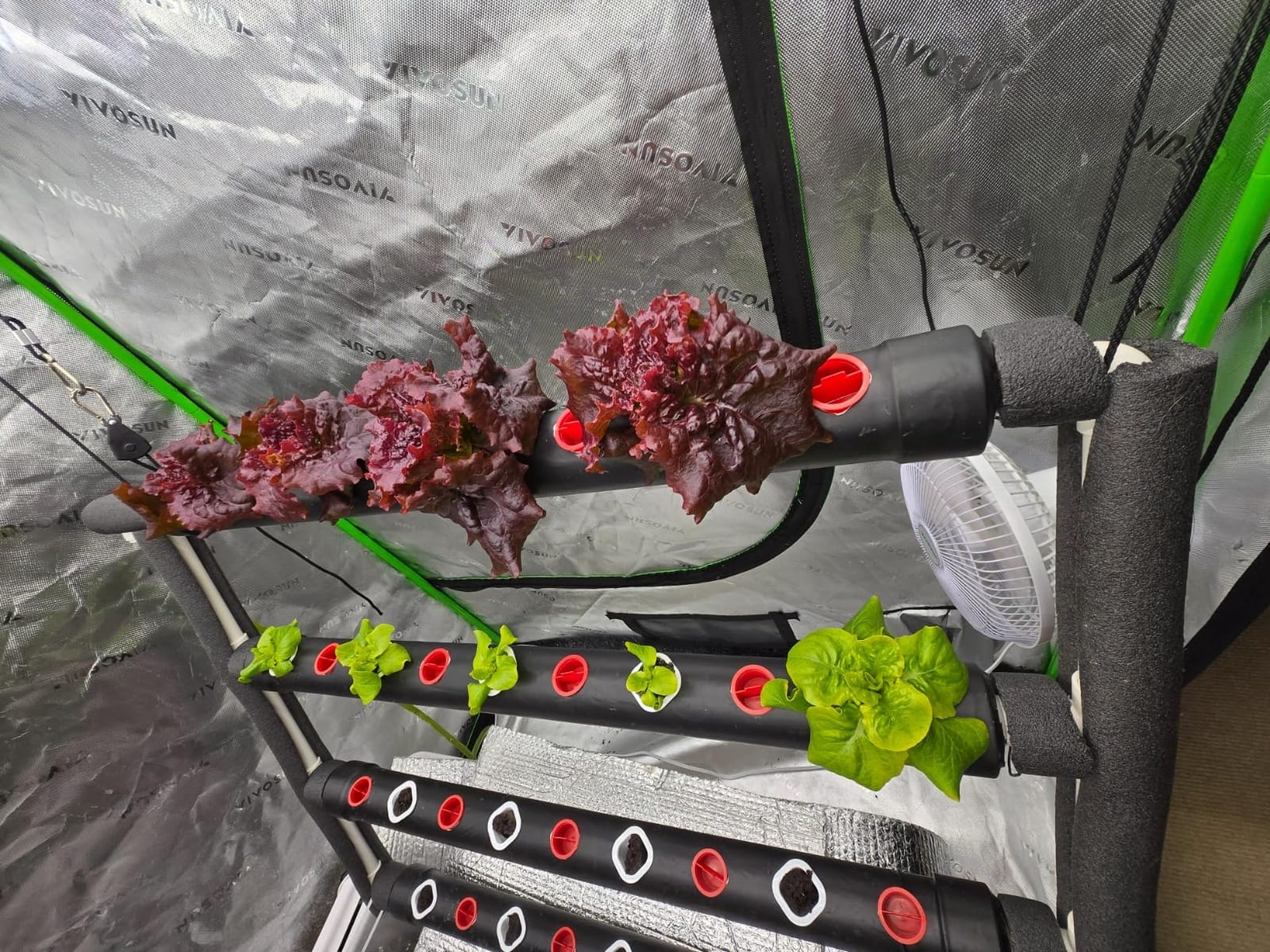 VIVOSUN Hydroponics Growing System 90 Plant Sites, 3 Layers 10 Food-Grade PVC-U Pipes Hydroponic Gardening System Grow Kit with Water Pump, Pump Timer, Nest Basket and Sponge for Leafy Vegetables customer photo 1
