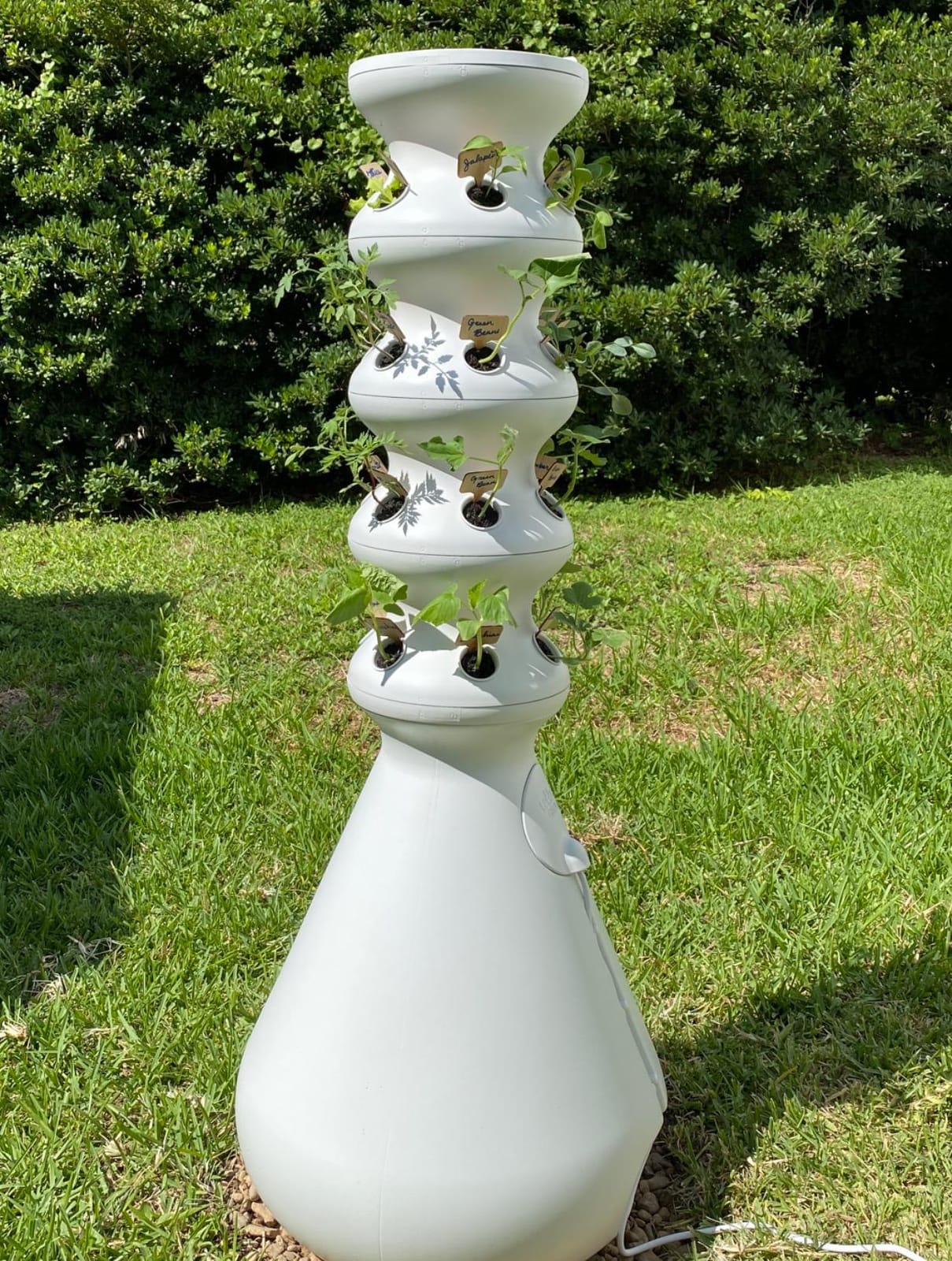 Lettuce Grow Farmstand Hydroponic Growing System, 24-Plant Indoor/Outdoor Vertical Garden, BPA-Free Food Grade, Made in USA customer photo 2