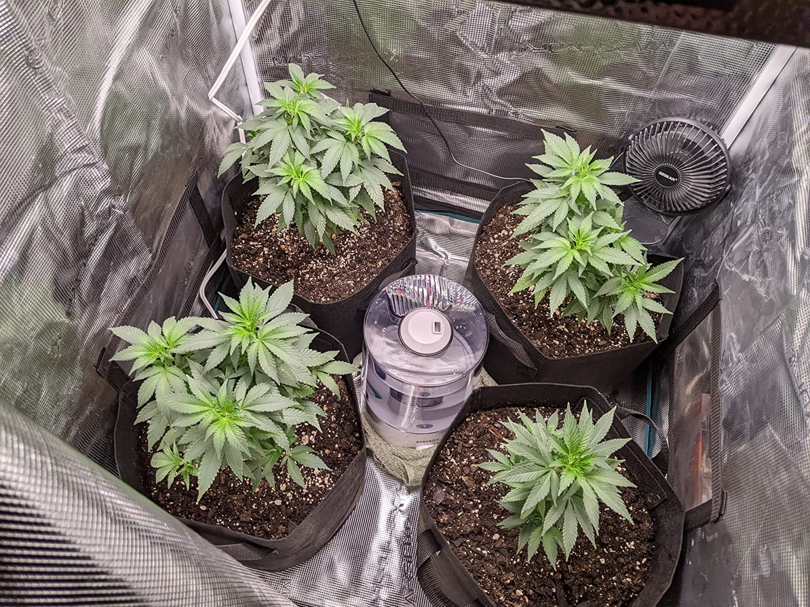 MARS HYDRO 3x3 Smart Grow Tent Kit with TS1000 with iControl Controller customer photo 1