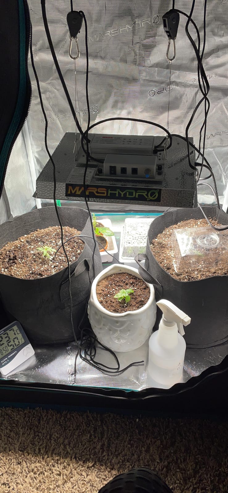 MARS HYDRO 3x3 Smart Grow Tent Kit with TS1000 with iControl Controller customer photo 2