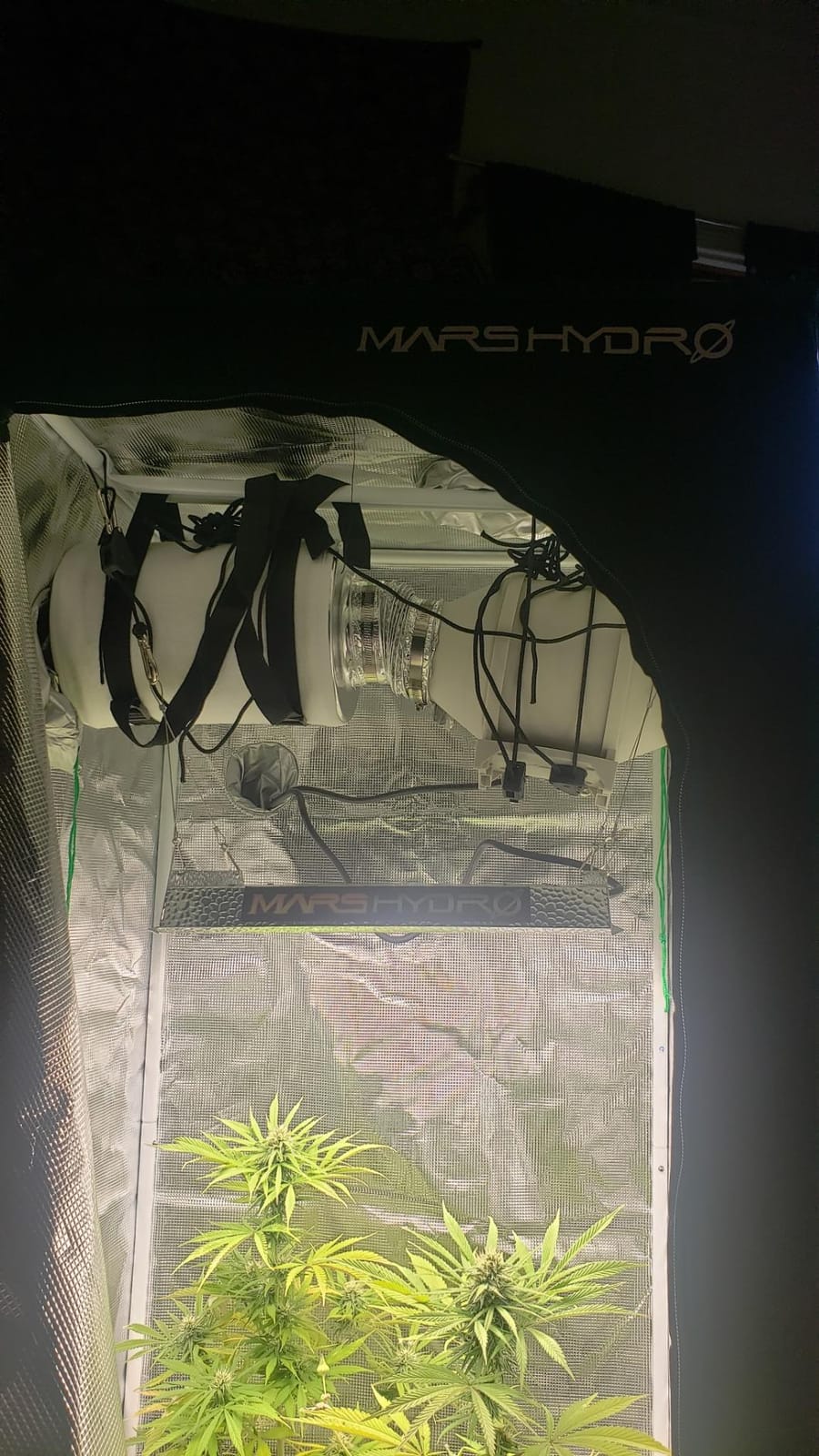 MARS HYDRO 2x2ft Grow Tent Kit with TS600 100W Full Spectrum LED Grow Light customer photo 2