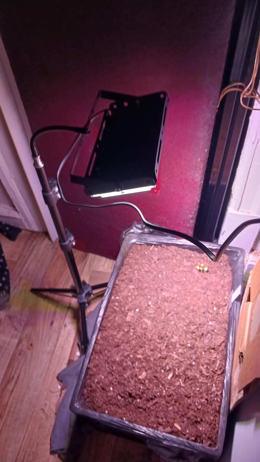 LBW Grow Light with Stand, Full Spectrum Grow Lights for Indoor Plants customer photo 1