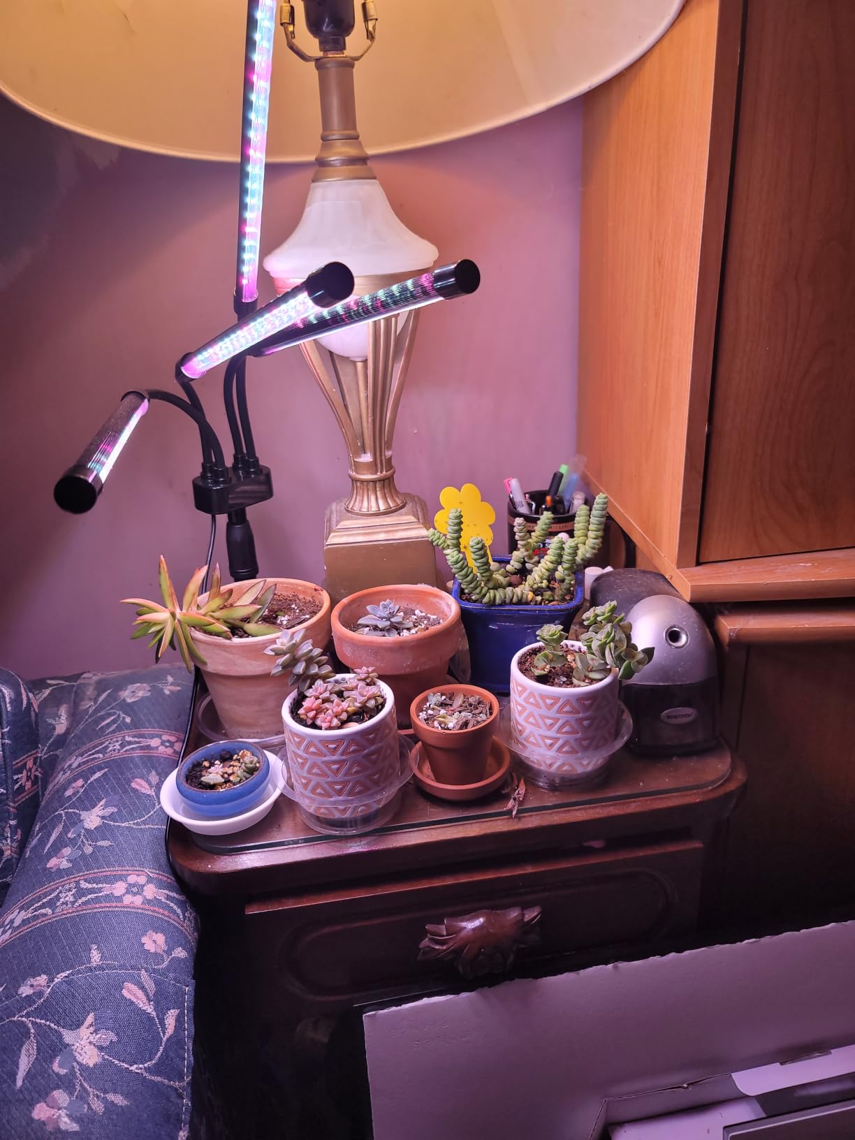 SYEIORAOM Grow Lights for Indoor Plants, Four Head LED Grow Light with Full Spectrum, Red White Spectrum for Indoor Plant Lamp, Adjustable Gooseneck, Suitable for Vegetation customer photo 1