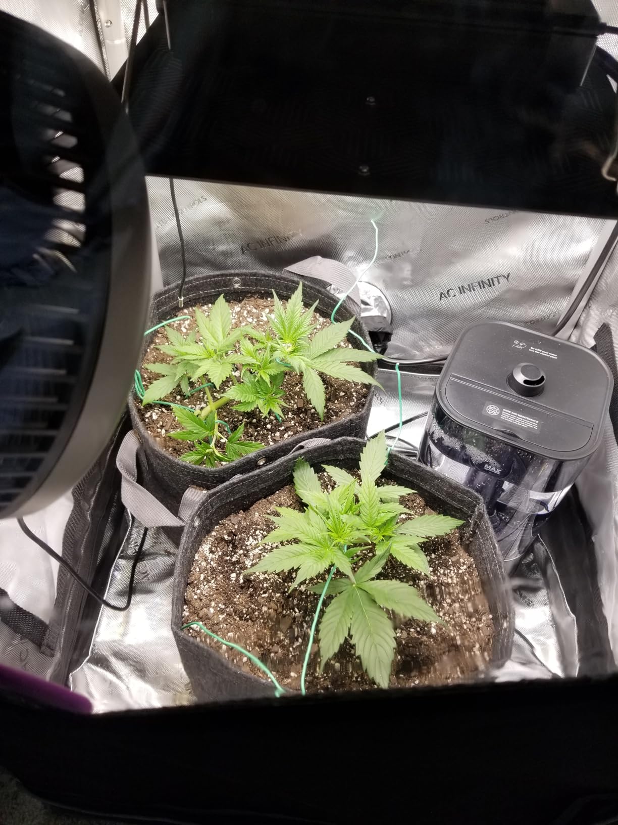 AC Infinity AI Grow System Compact 2x2, 1-Plant Kit w/ AI Controller customer photo 1