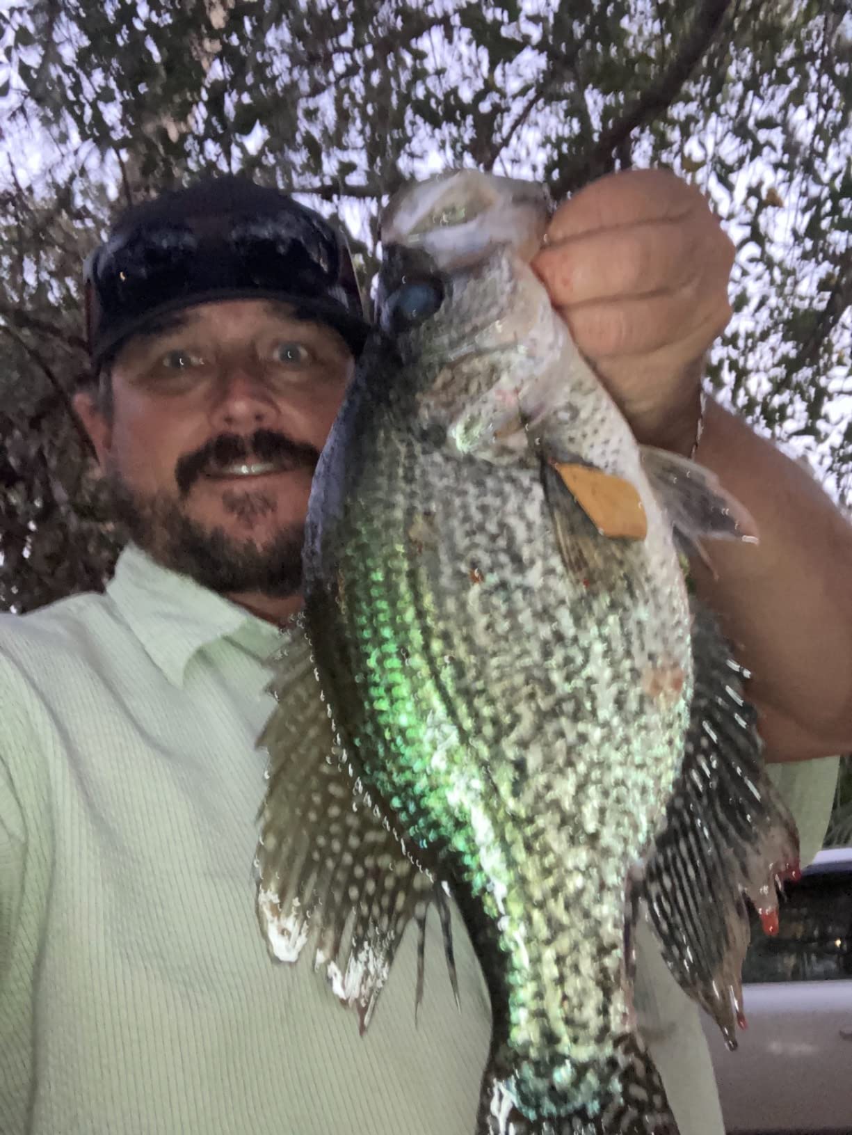 Summer and Centron Spinning Reels, 12 +1 BB Light Weight & Ultra Smooth Reel for Ice/Summer 3000/1000 Fishing Reel by QINGLER customer photo 1