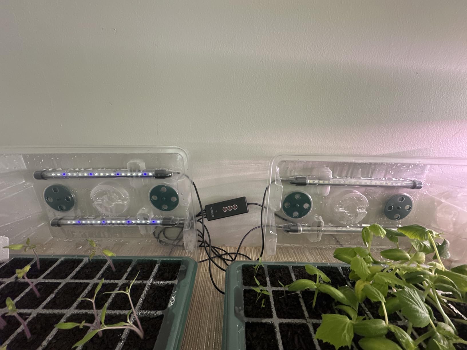 Saillong 2 Pack Seed Starter Tray with Grow Light, 80 Cell Indoor Greenhouse Seed Starting Set with Humidity Dome, 360° Full Spectrum LED, Smart Timer, 5 Brightness Levels for Germination customer photo 1