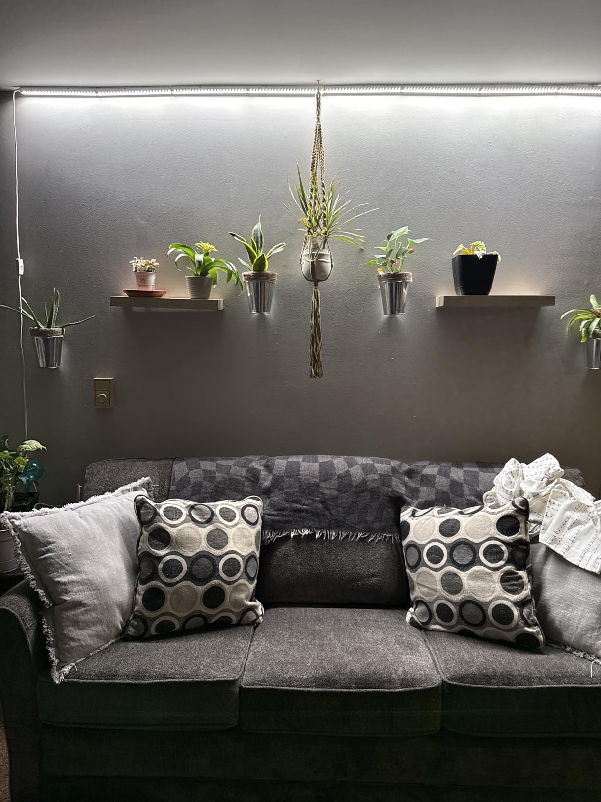 Barrina T5 Grow Lights for Indoor Plants, 5000K Full Spectrum, 1FT, 4 Packs customer photo 1
