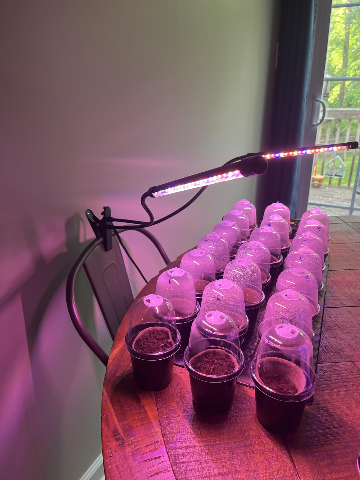 Garpsen Grow Lights for Indoor Plants, 2 Heads Clip On Plant Light, 40 LEDs customer photo 1
