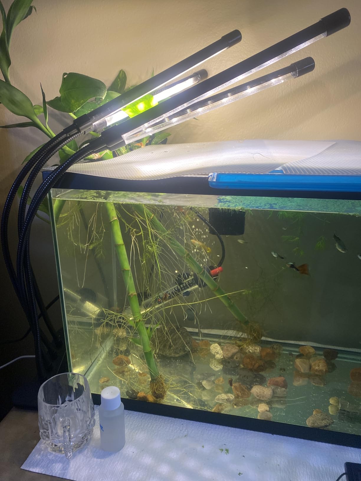 Garpsen Grow Lights for Indoor Plants, 2 Heads Clip On Plant Light, 40 LEDs customer photo 2
