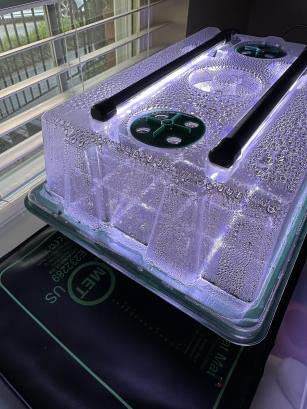Seed Starter Kit with Grow Lights & Heat Mat – 40-Cell Seed Starter Tray, Humidity Dome, Soil Moisture Meter & Sticky Gnat Traps – Indoor Greenhouse & Plant Propagation Station customer photo 1