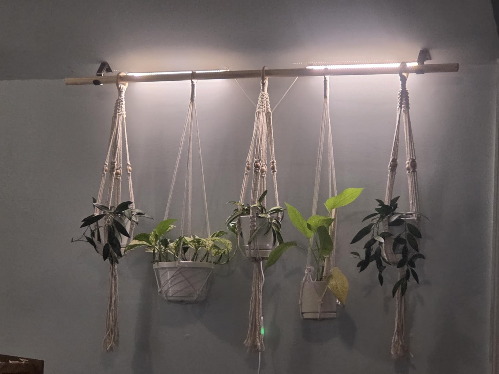 LED Grow Light Strips, 13 Inches Grow Lights for Indoor Plants Full Spectrum 3500K, 96 LEDs Plant Light with 3/9/12H Timer, 10 Dimmable Levels for Seedling Succulent, 2 Head customer photo 1