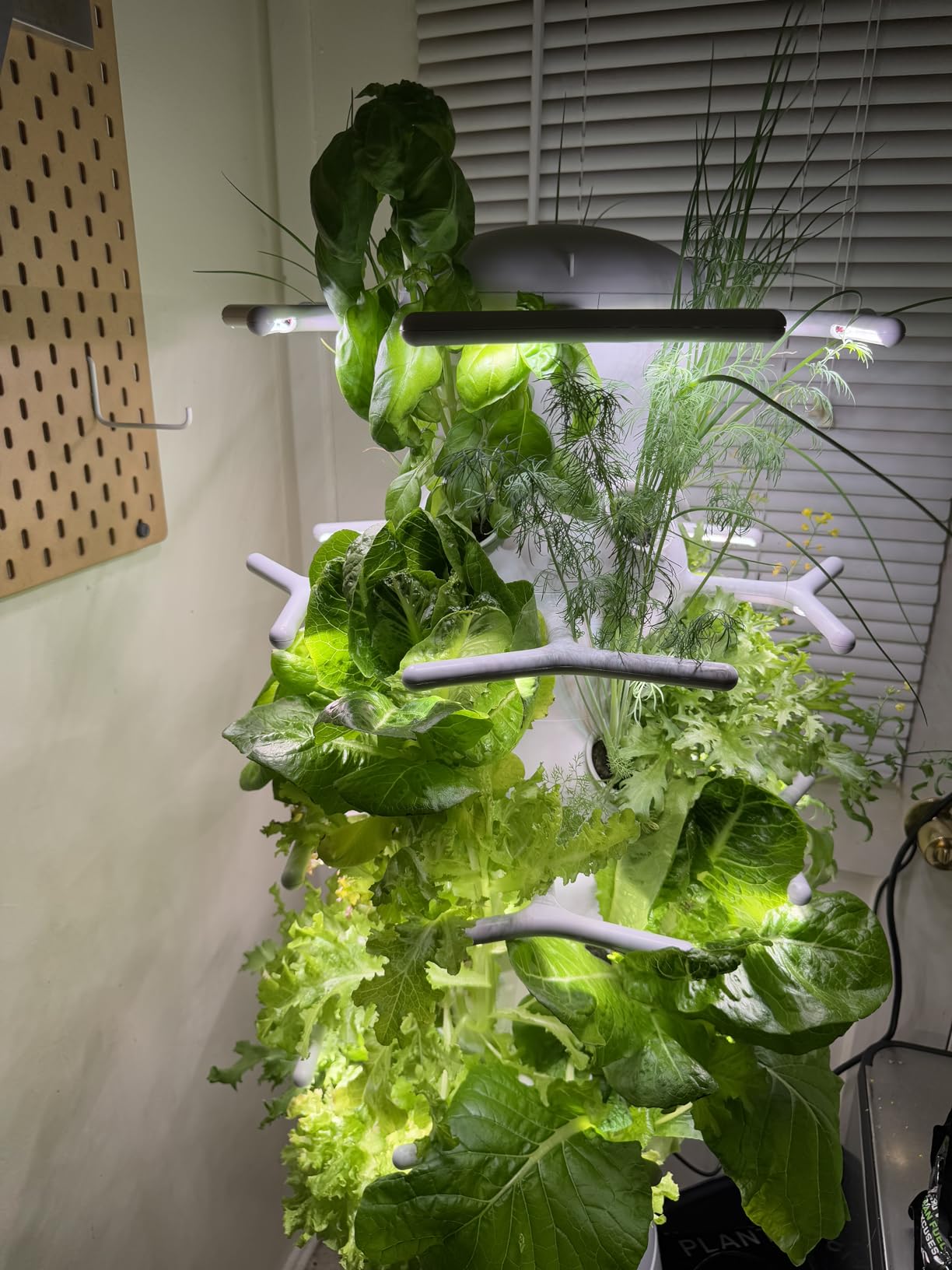 Lettuce Grow Farmstand Nook | 4ft 7in Vertical Hydroponic Garden Tower customer photo 1
