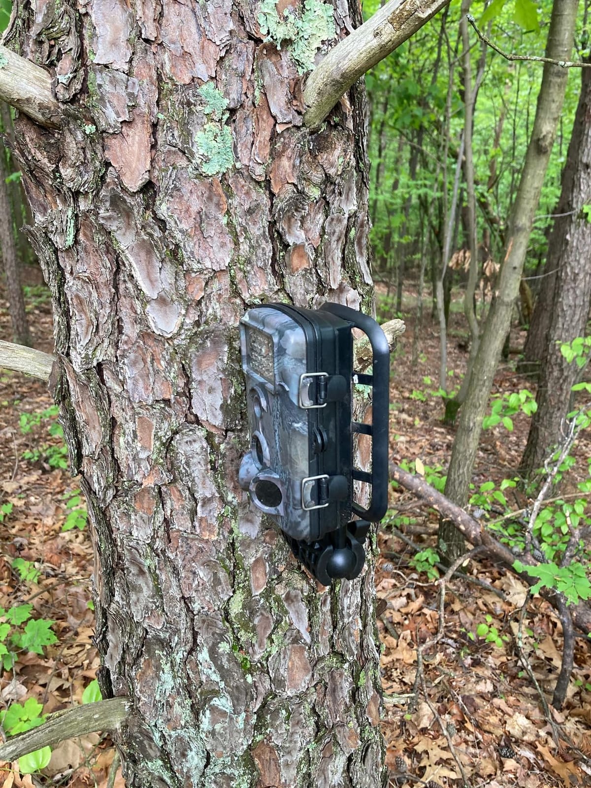 Adjustable Trail Camera Tree Mount: Game Camera Outdoor Mounting Bracket Holder with Double 360° Swivel Tilt Ball Joints, 2 Packs customer photo 1