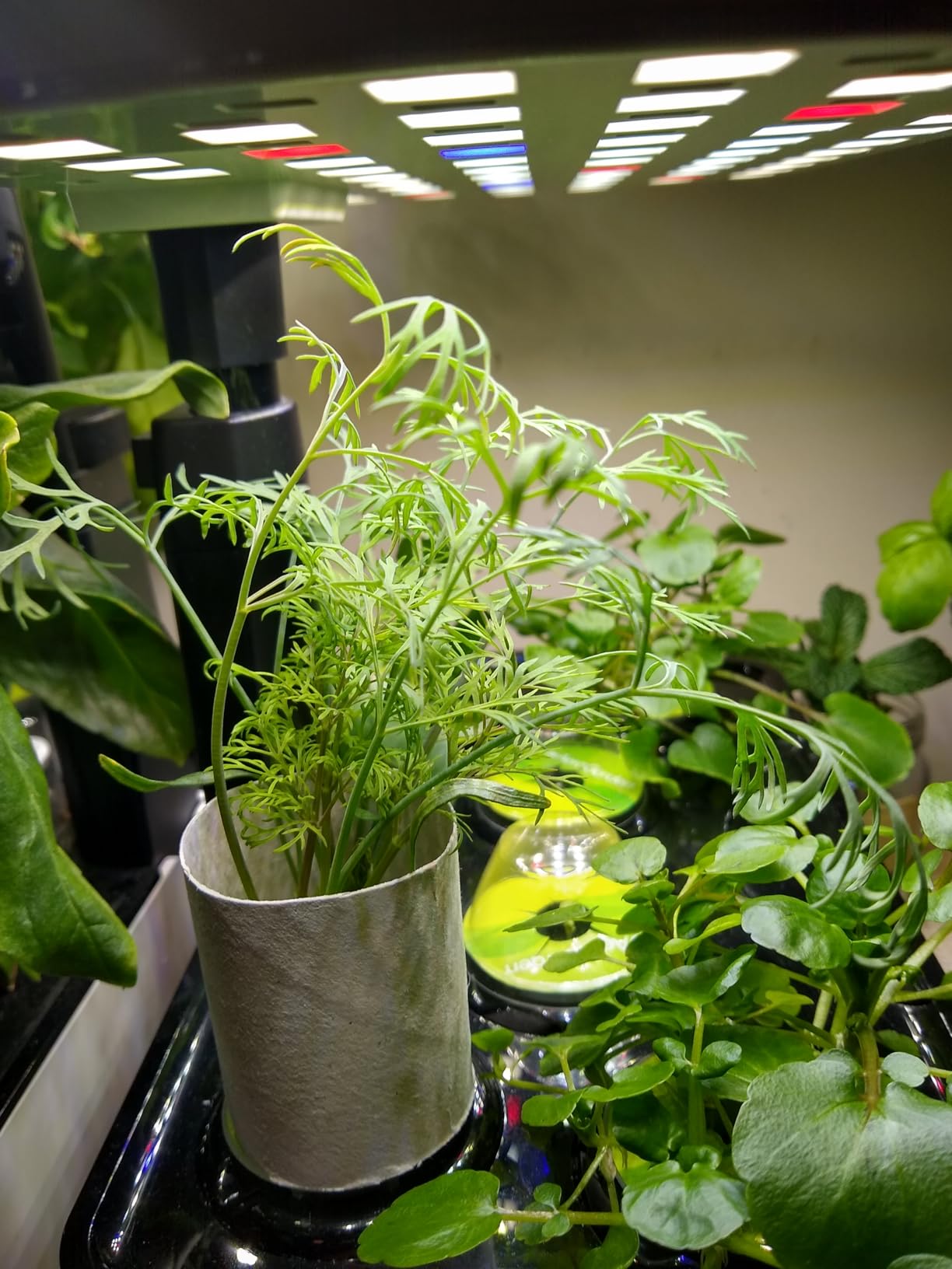 AeroGarden Harvest Lite, Black customer photo 1