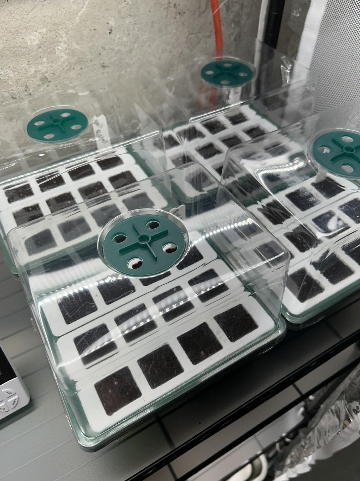 Sondiko Seed Starter Tray with Soft Silicone Cells, 80-Cell Starter Kit customer photo 1