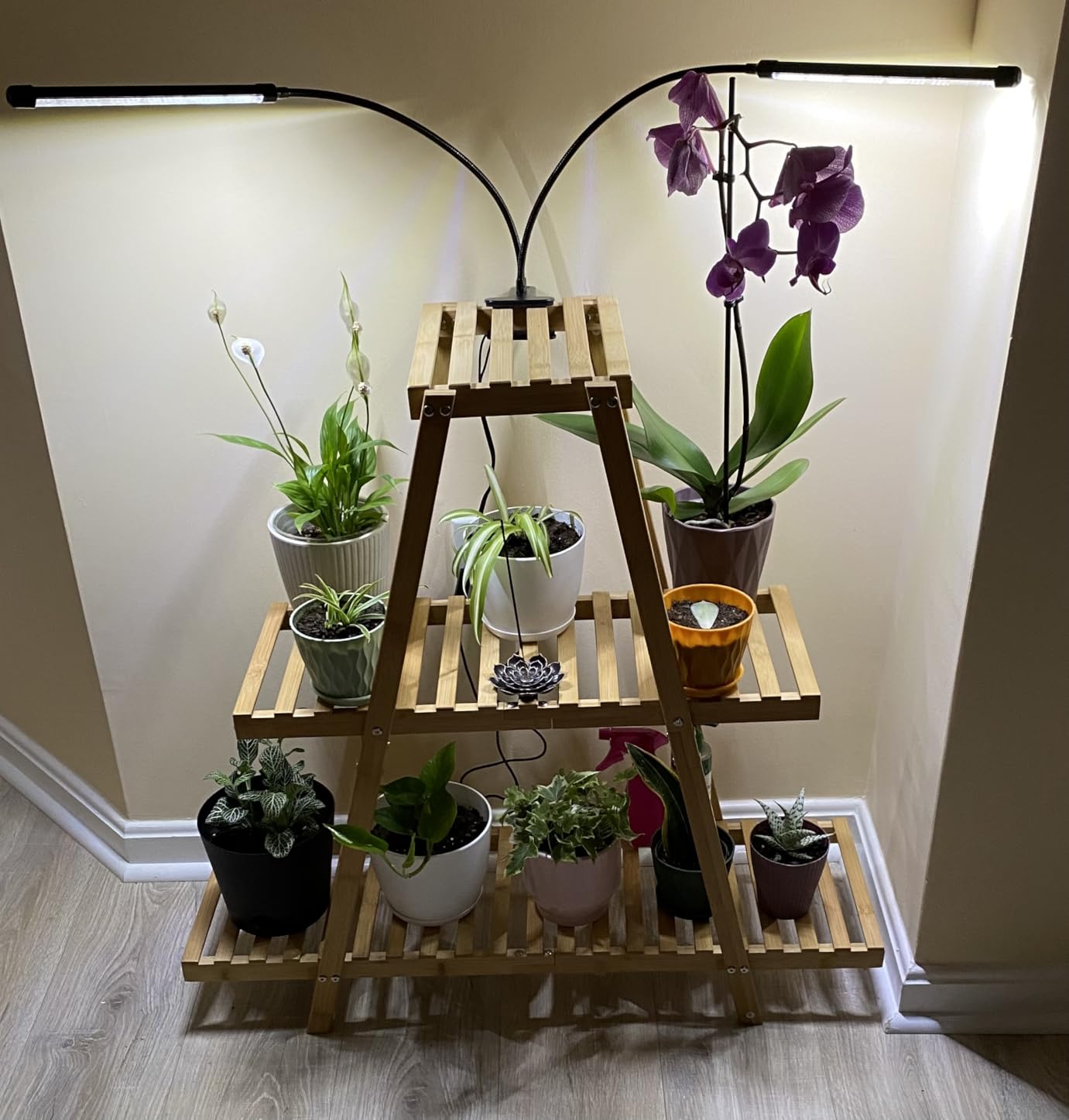 Grow Lights for Indoor Plants, Upgrade 84 LEDs Clip Plant Lights, Full Spectrum LED Plant Growing Lamps with Flexible Gooseneck, 3/9/12H Timer, 3 Spectral Modes, 10 Dimmable Levels (2 Head 1 Pack) customer photo 2