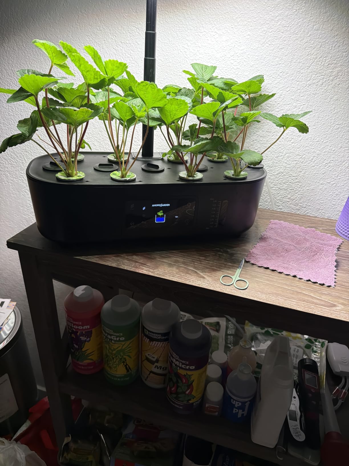 Ahopegarden Hydroponics Growing System Kit: 12 Pods with LCD Control Panel customer photo 1