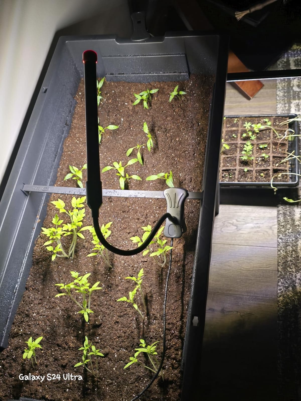 Game Changer! FECiDA 2026 3Pack Clip on Grow Lights for Single Pot Plant customer photo 2