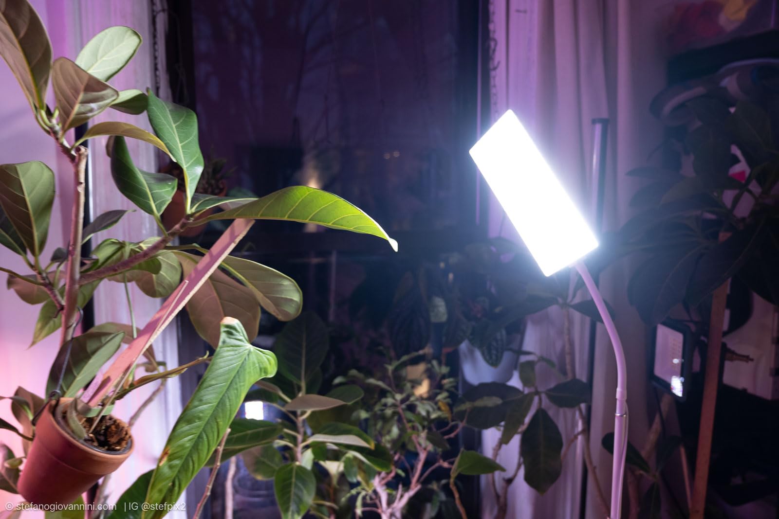 Wiaxulay Grow Lights for Indoor Plants,Full Spectrum Plant Light 68in Stand customer photo 1