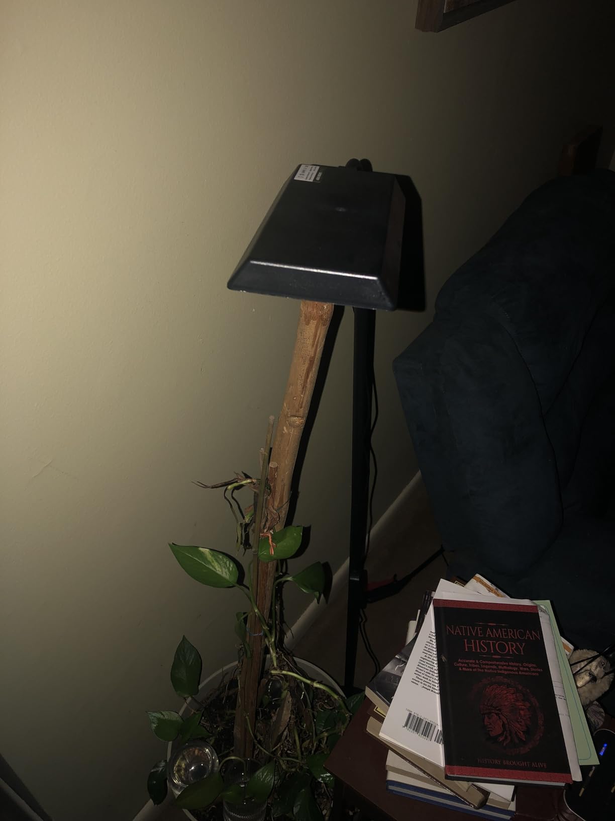 Wiaxulay Grow Lights for Indoor Plants,Full Spectrum Plant Light 68in Stand customer photo 2