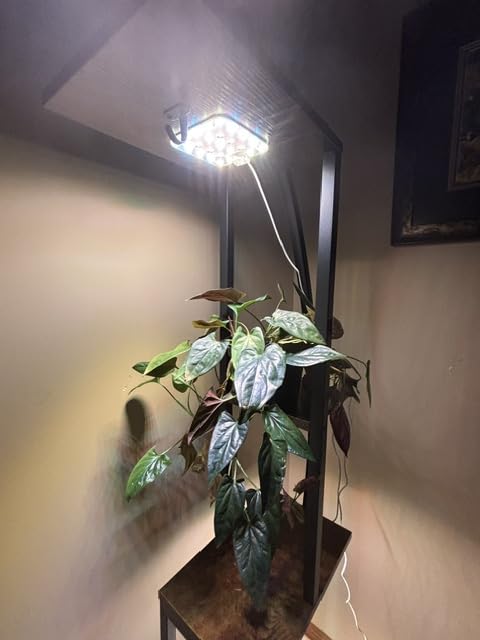 Under Shelf Grow Light, Auto Timer, Dimmable, Daylight White, 1-Pack customer photo 2