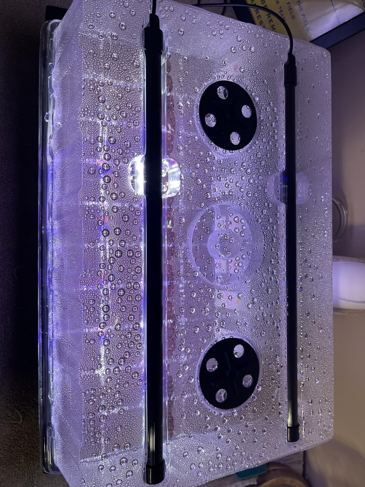 Patigrow 60-Cell Self-Watering Seed Starter Tray with Grow Light, Seed Starter Kit with 4.07” Humidity Dome, Indoor Seedling Starter Tray, Seed Starting Trays for Plant Germination, Seeds Growing customer photo 2