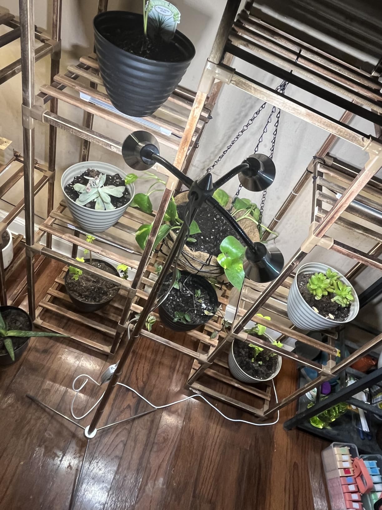 Full Spectrum Grow Lights for Indoor Plants 15-62 Inches Height Adjustable Aluminum Alloy Plant Growing Lamps with Detachable Tripod Stand, Auto On/Off Timer (Full Spectrum, Three Heads) customer photo 2