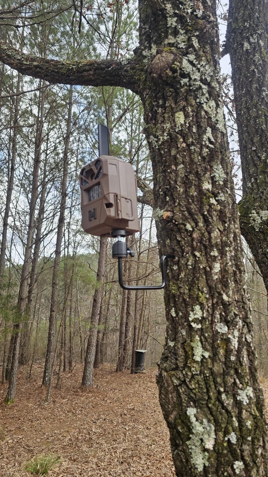 Trail Camera Tree Mount: 360 Degrees Adjustable Game Camera Mount with 1/4 inch Screw, Easy Installation & Compact Sturdy customer photo 1