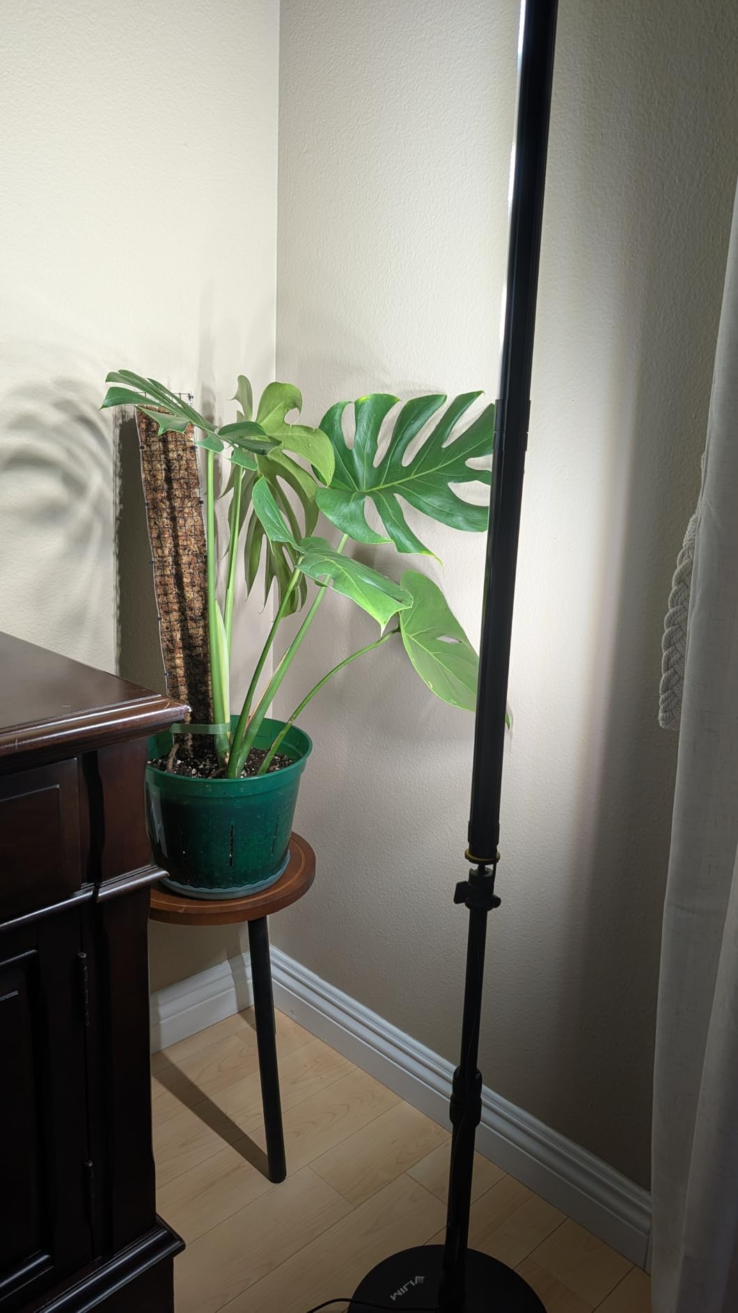 SANSI T10 Standing Grow Lights for Indoor Plants, Vertical Grow Light 4.4FT customer photo 2