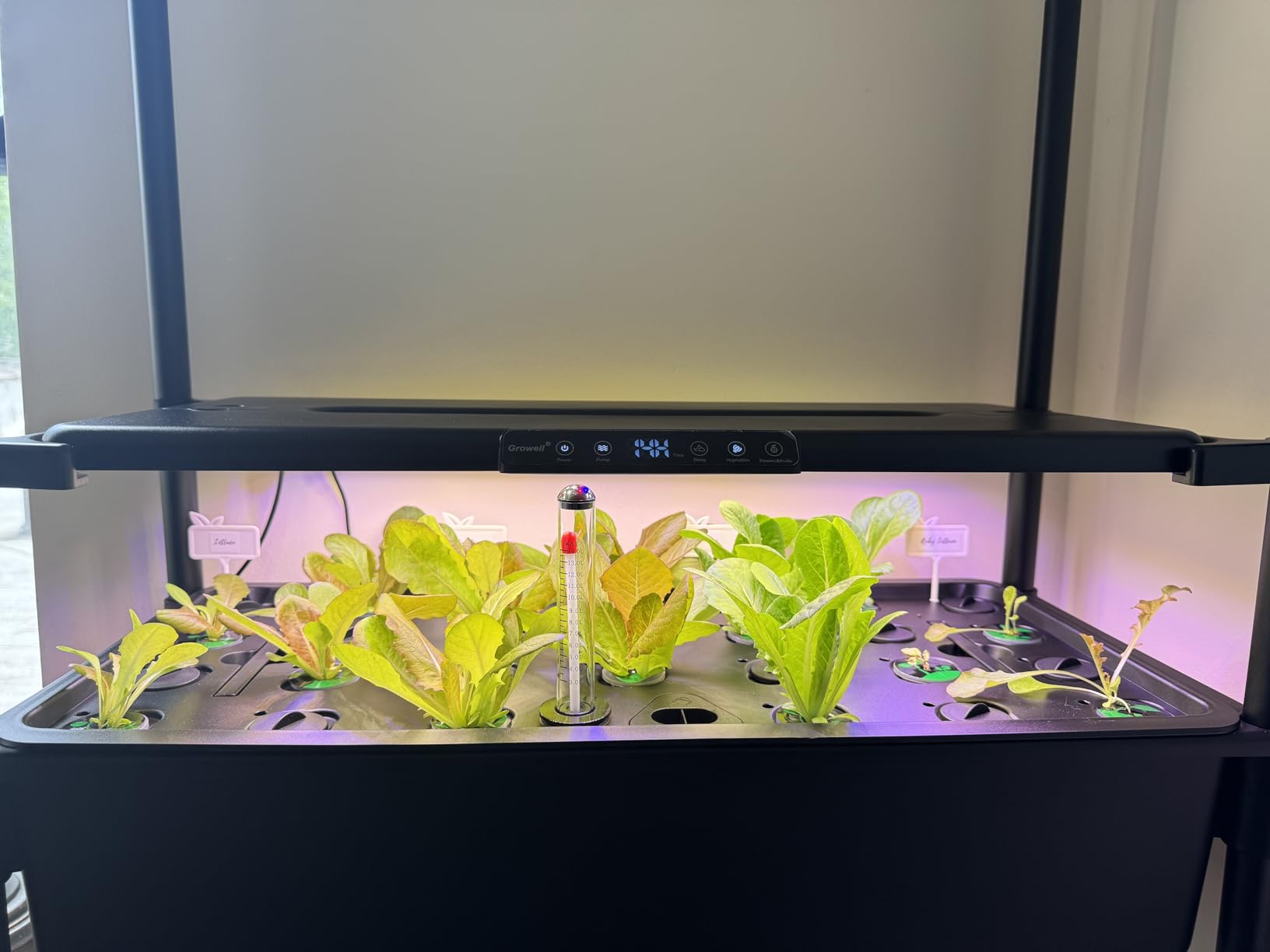 Growell 90 Pods Large Hydroponics Growing System Kit, Indoor Herb Garden customer photo 2