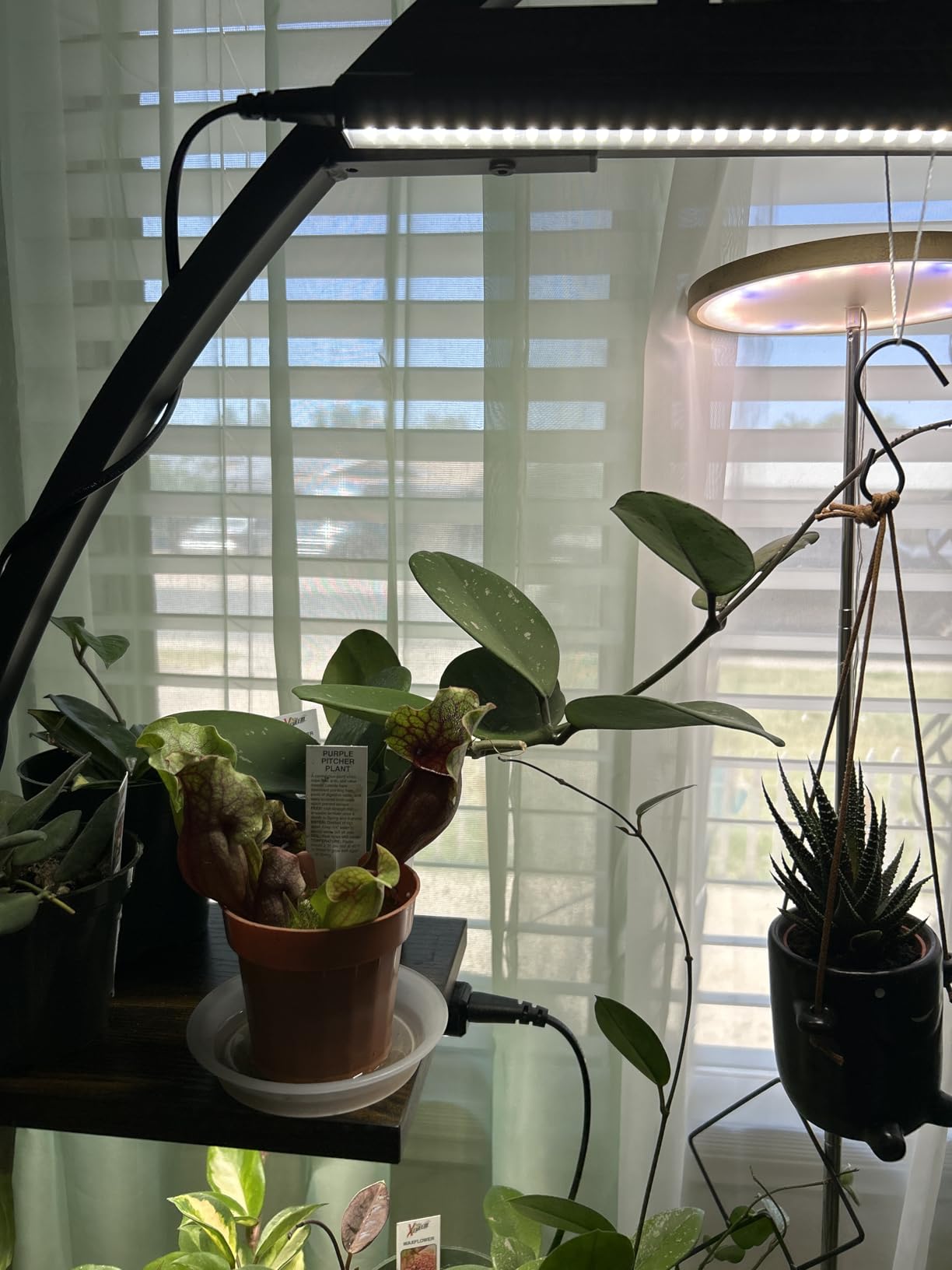 VIVOSUN T5 Grow Lights for Indoor Plants, 5000K Full Spectrum, 1FT customer photo 1