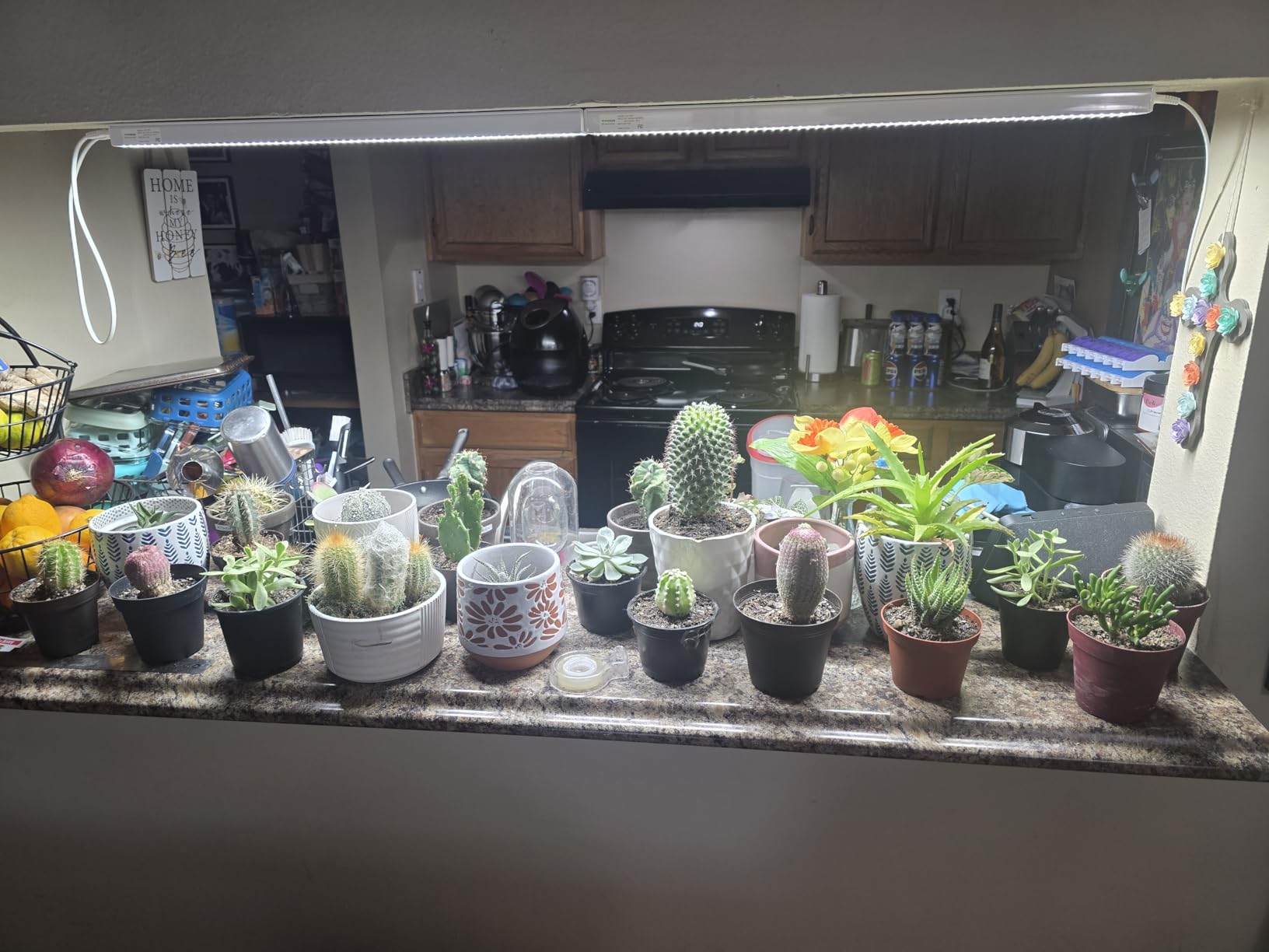 VIVOSUN T5 Grow Lights for Indoor Plants, 5000K Full Spectrum, 1FT customer photo 2