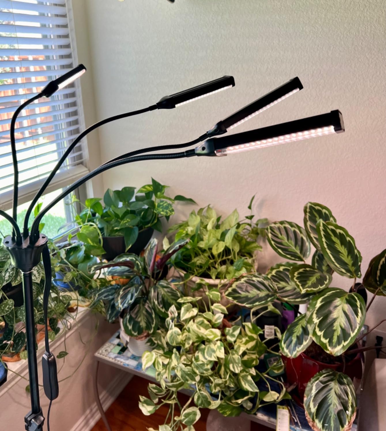 8-in-1 [800 LEDs] Tall Plant Grow Lights for Indoor Plants Full Spectrum, Wide Coverage Plant Lights for Indoor Growing with 4/8/12H Timer, Indoor LED Grow Light for All Growth Stages. customer photo 1